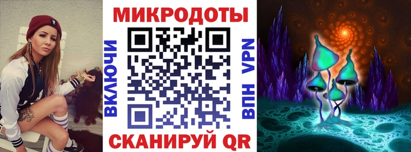 где продают   Фатеж  Галлюциногенные грибы Magic Shrooms 